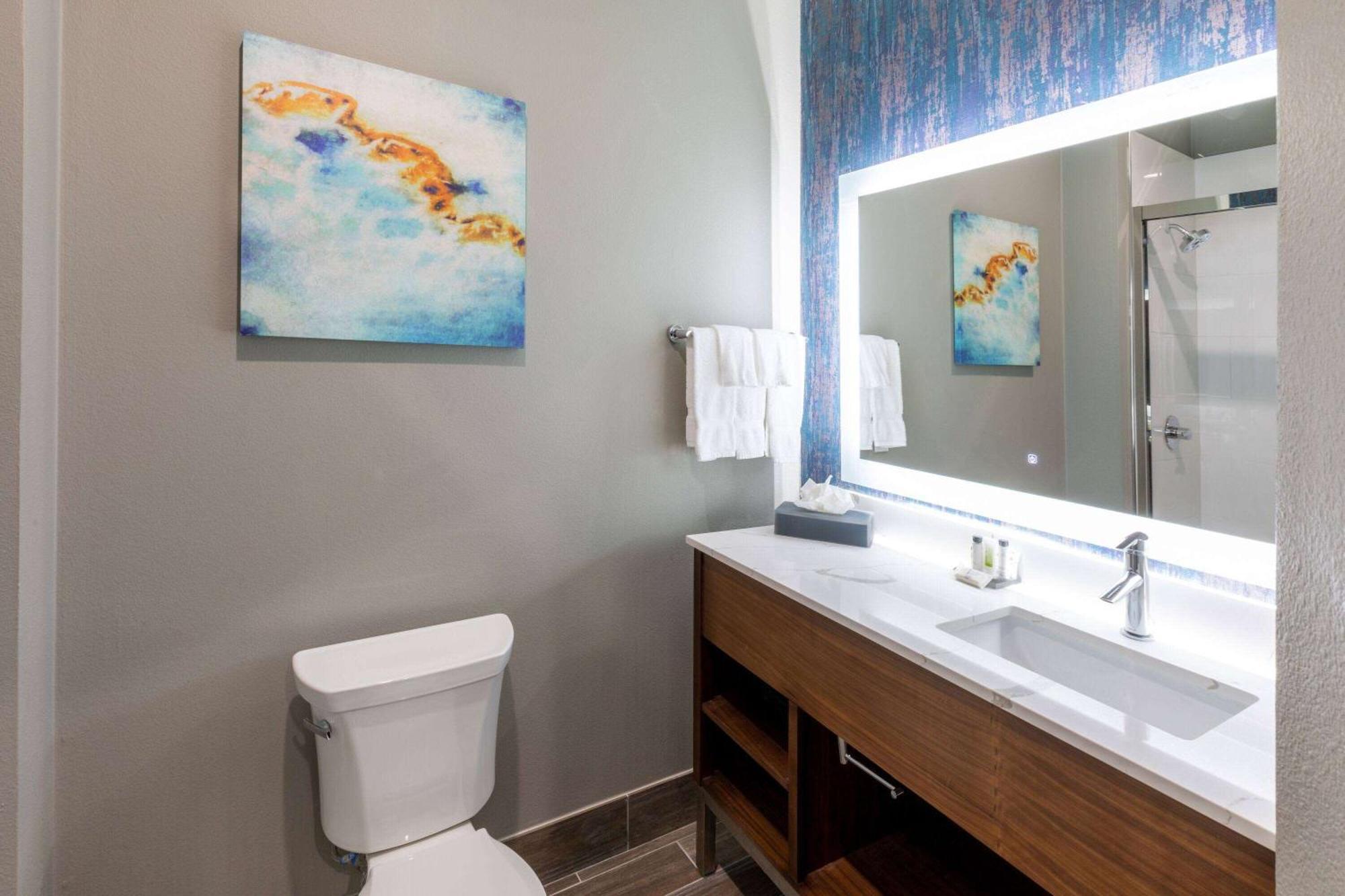 La Quinta Inn & Suites By Wyndham Dallas - Frisco Stadium Eksteriør bilde